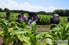 烤烟气象服务中心：紧贴一线生产需求 挖掘气象服务潜力