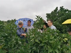 柑橘气象服务中心：健机制 强能力 全力服务优势区建设