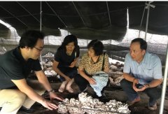 都市农业气象服务中心：发挥城市资源优势 创新服务