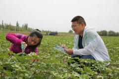 棉花气象服务中心：紧贴需求推进现代植棉气象服务