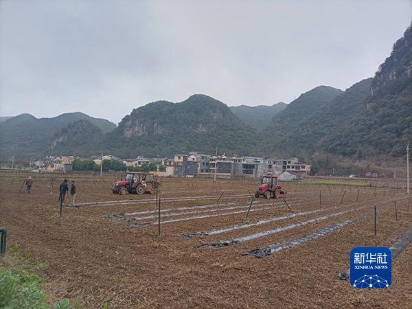 新华全媒+丨“铁牛”取代耕牛 “小季”也可大收——贵州兴义高标准农田春耕