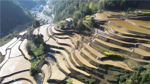 城口：高标准农田建设助力产业发展粮食增收