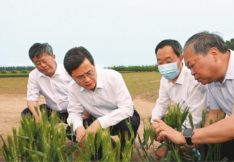 坚定扛起耕地保护责任 牢牢守住粮食生产命根子