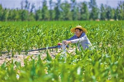 高标准农田建设忙