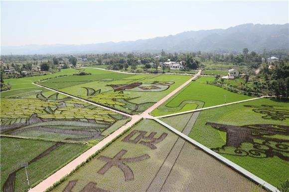 大足：建成高标准农田66.97万亩 稳产增产效益显著