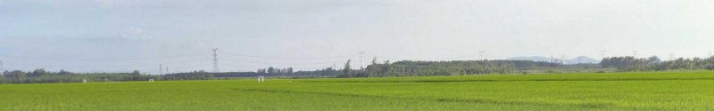 来安县三个村高标准农田建设调查