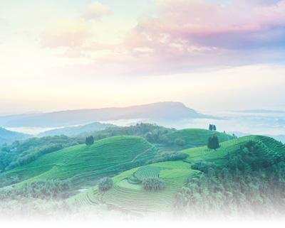 精准施策，让农民得到更多实惠（干部状态新观察·大兴调查研究之风）
