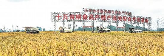 今年将新增16.2万亩高标准农田