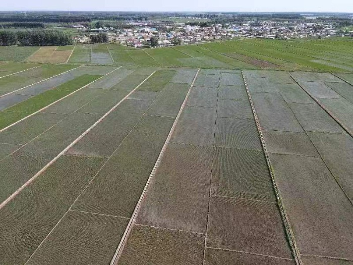 辽宁大力推进黑土地保护 全方位夯实粮食安全根基