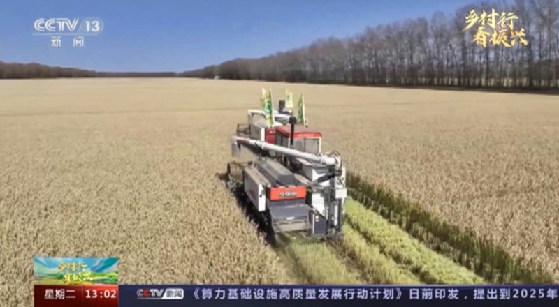 科技兴 仓廪实！国产“下蛋机”助力棉农节本增效
