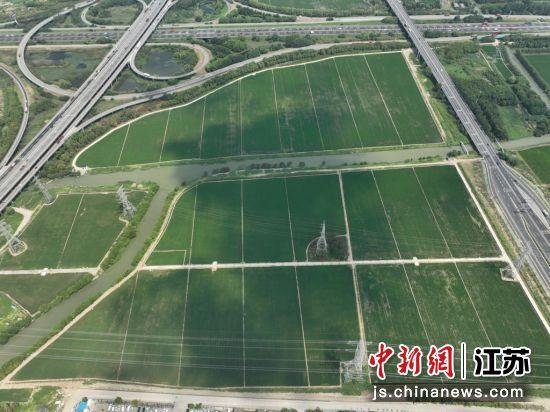 昆山推动高标准农田建设 为粮食安全蓄势赋能