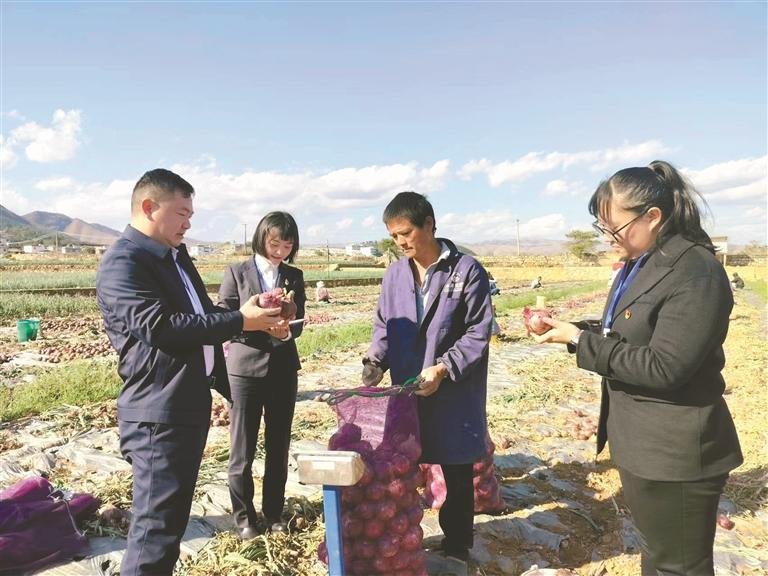   学习贯彻三次全会精神在行动·“强化以案促改以案促治”系列报道⑦  云南红