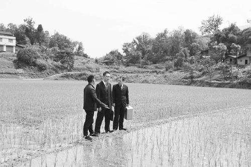 建立长效机制管护好“饭碗田”重庆石柱：破解高标准农田建设项目管护难题获