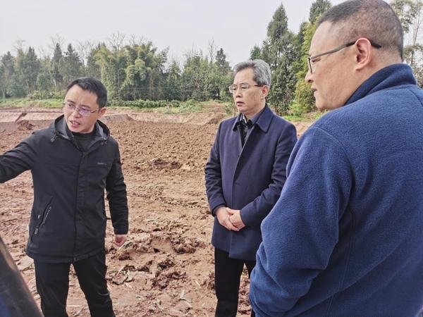 “广”夯“耕”基 护粮有“安” ——广安市人大常委会持续助推丘区高标准农
