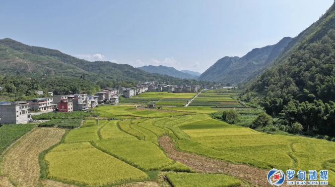 罗甸：高标准农田项目建设 助力粮食丰产增收