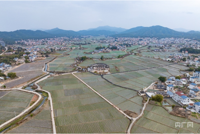 耕山牧海福恰来｜福建上杭：高标准农田筑牢增收基石