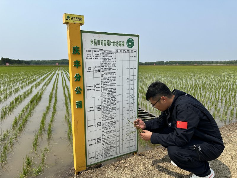 “数”诊黑土 “智”理田畴 北大荒推进高标准夏管模式